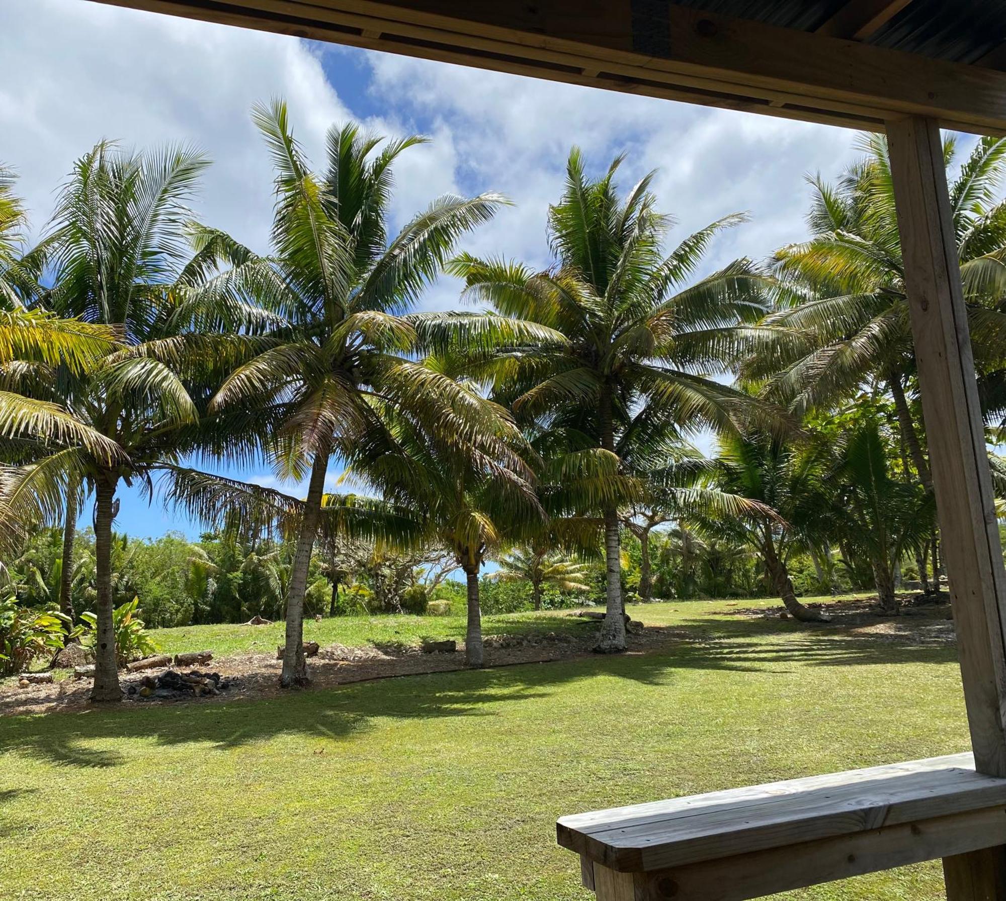 David'S Fale, Alofi, Niue المظهر الخارجي الصورة